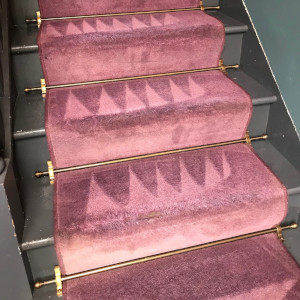 freshly cleaned stair carpets
