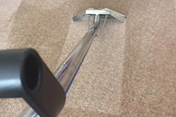 professional cleaner cleaning a carpet with a wand