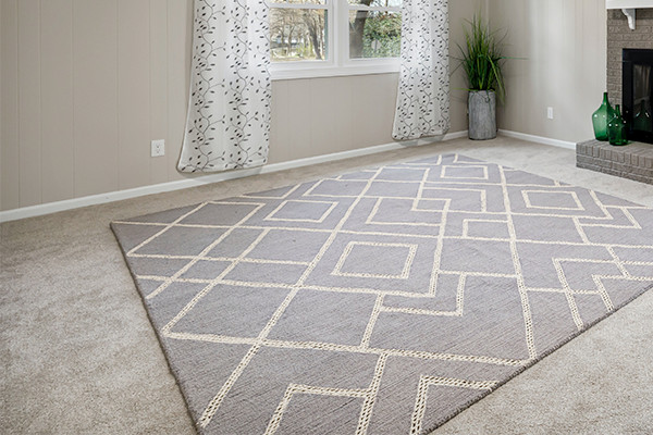 freshly cleaned grey rug on top of a clean carpeted floor